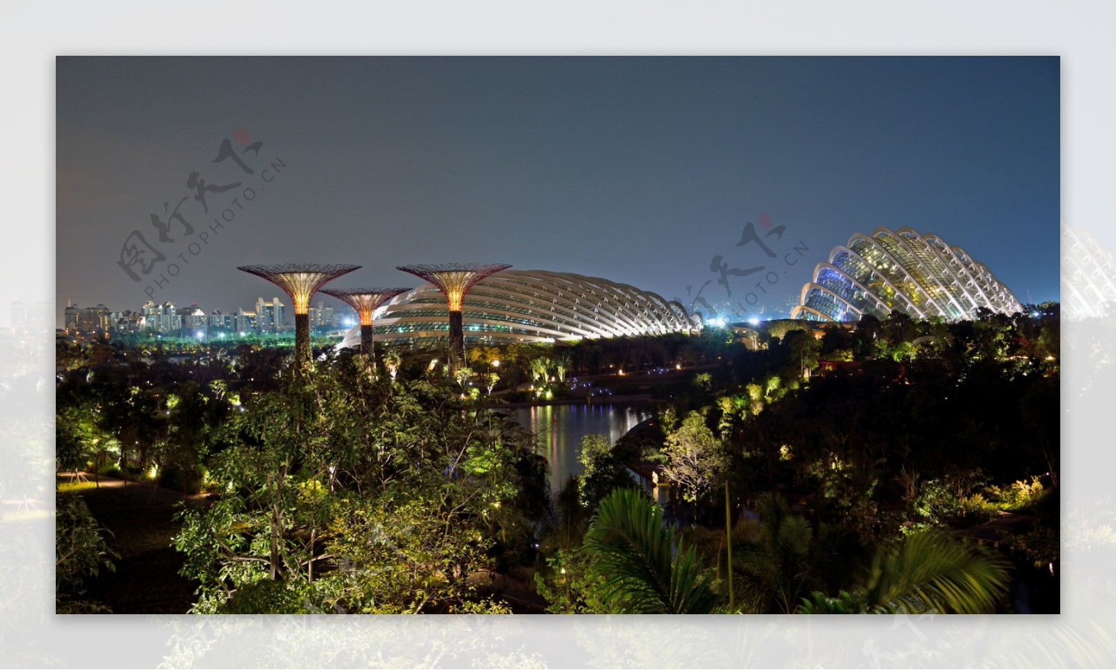 新加坡滨海湾花园夜景图片