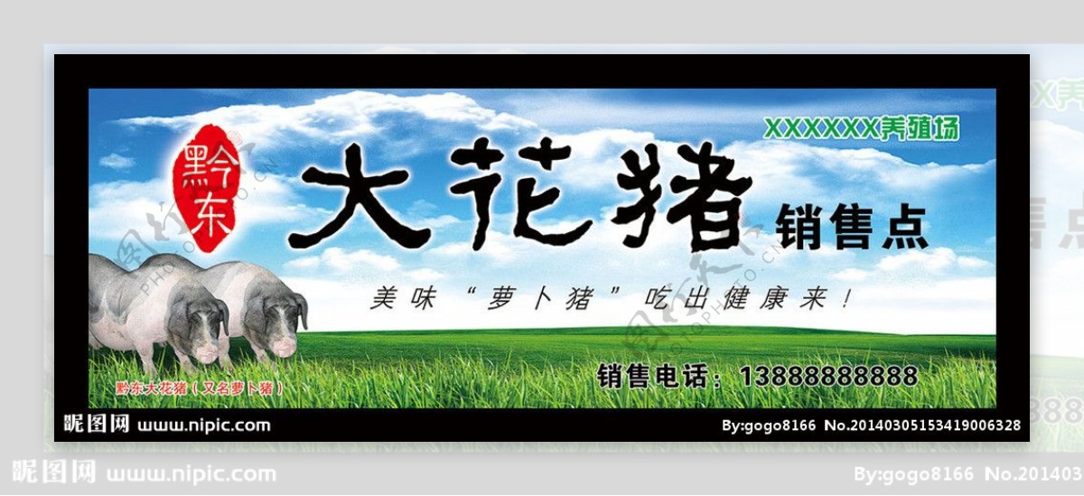 黔东大花猪广告图片