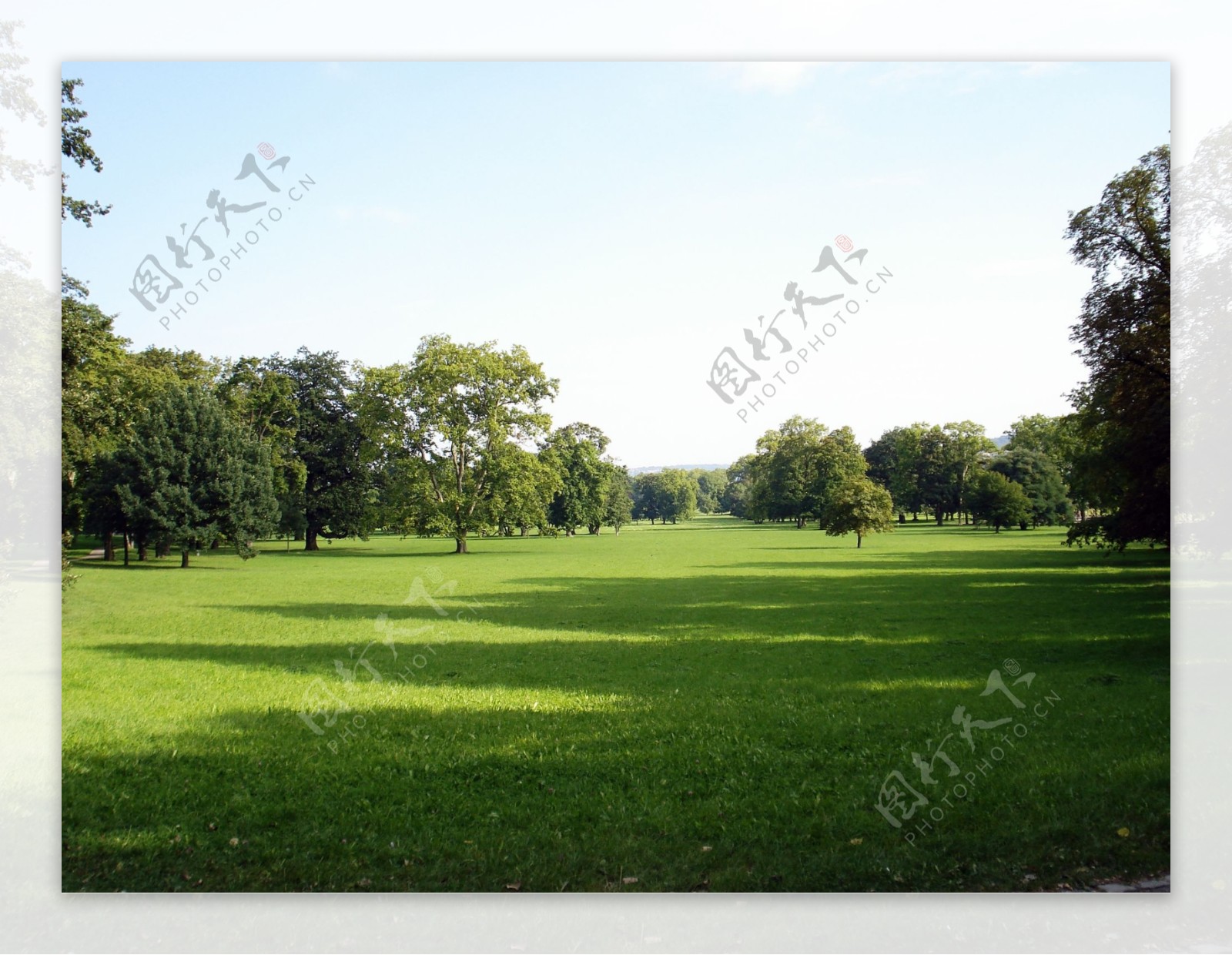 德国皇家公园内的草坪图片