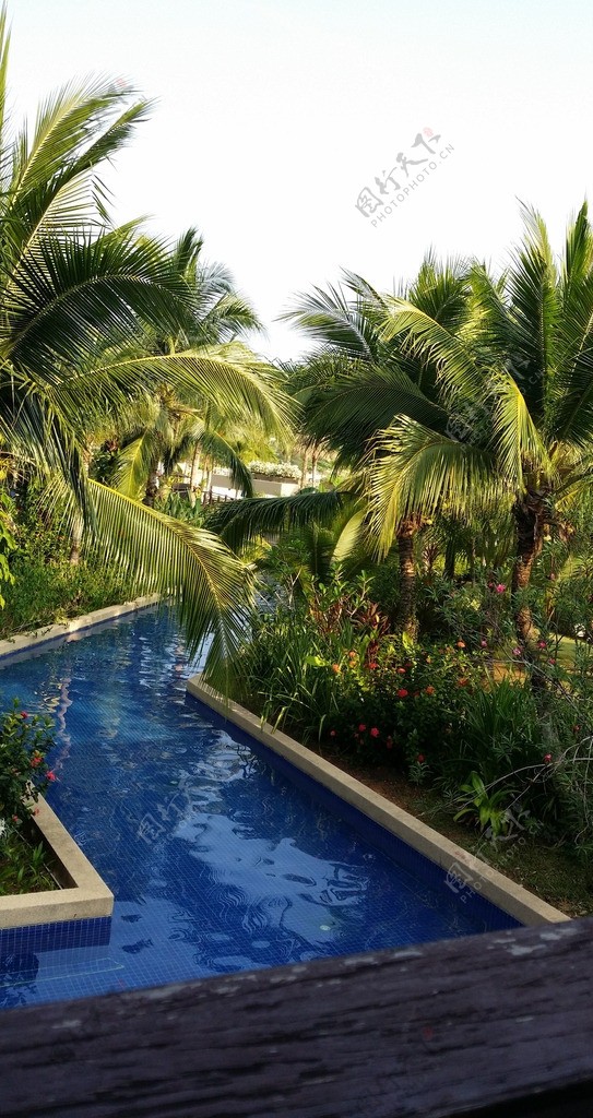 普吉岛某度假酒店泳池图片