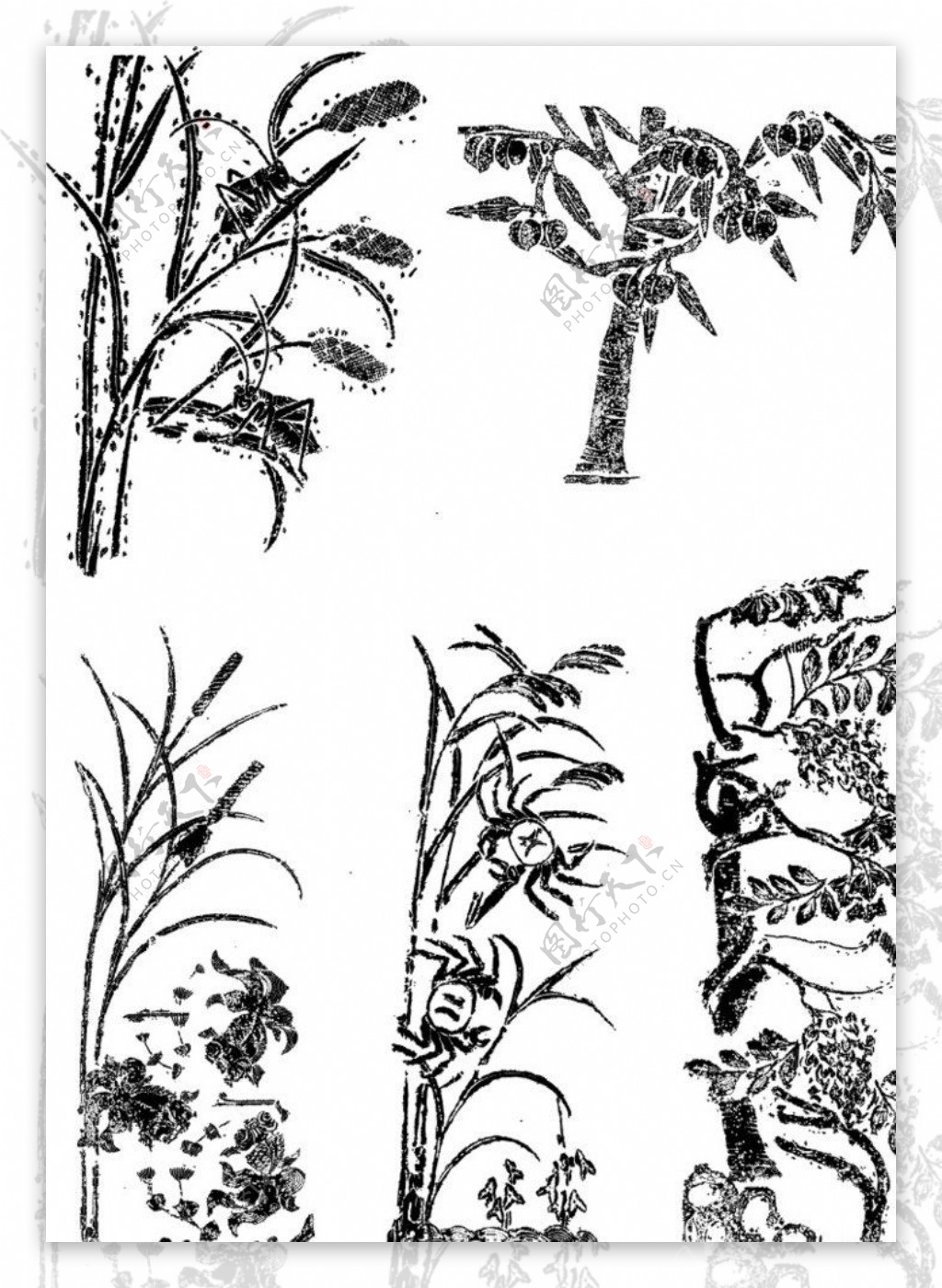 树木植物矢量图图片