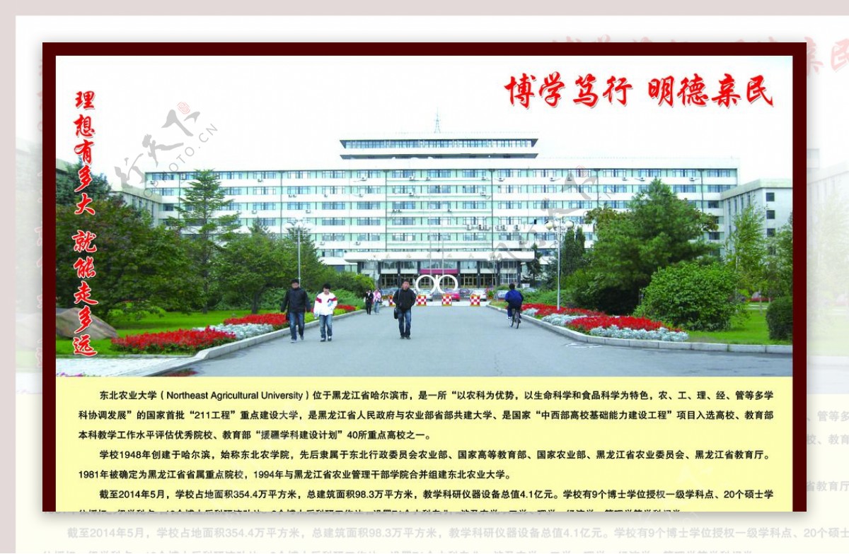 东北农业大学图片