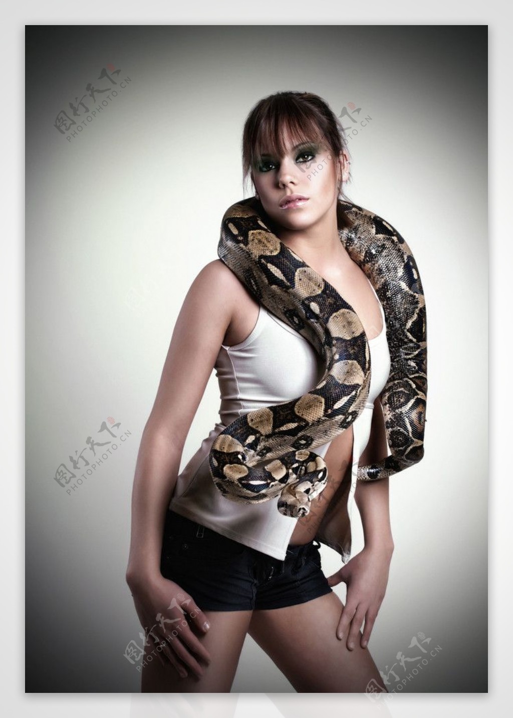 美女与蛇图片