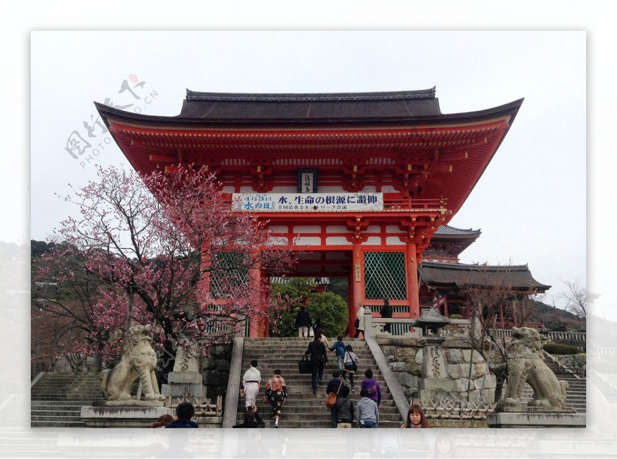 京都清水寺图片