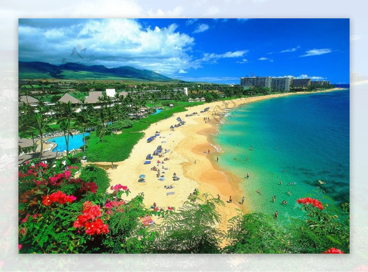 夏威夷沙滩图片