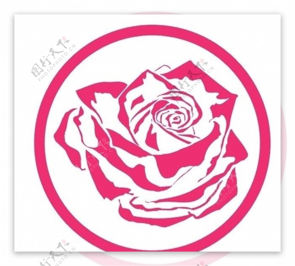 玫瑰花图片素材-编号16643454-图行天下