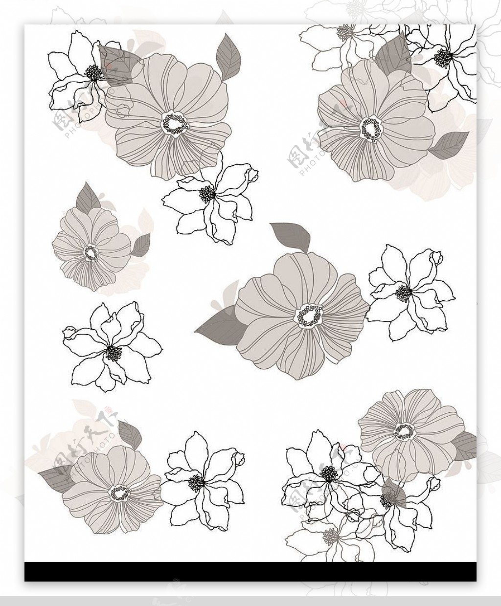 花韩国花纹花朵图片