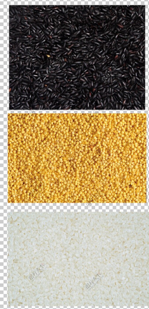 米黑米小米珍珠米图片