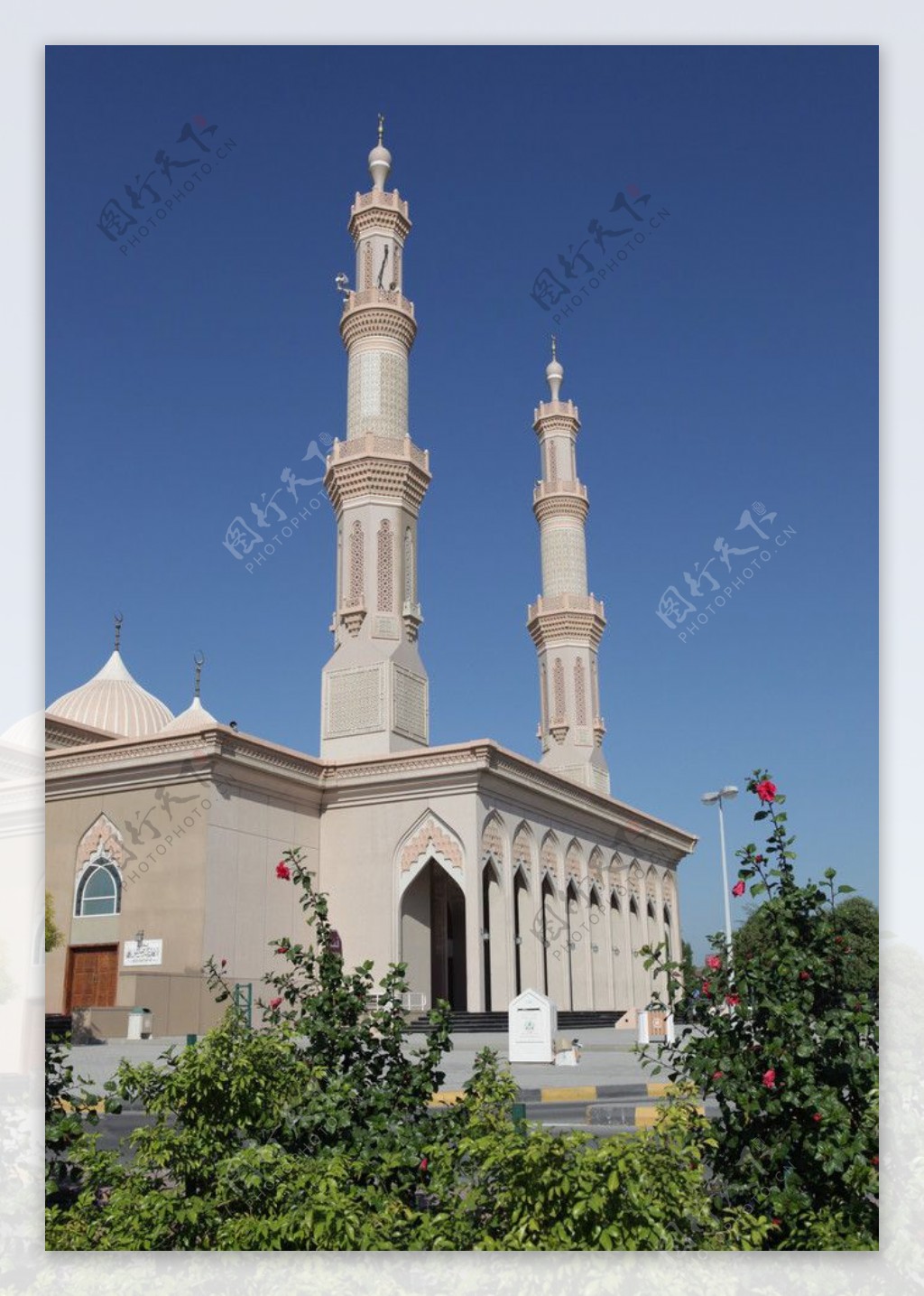 沙迦清真寺图片