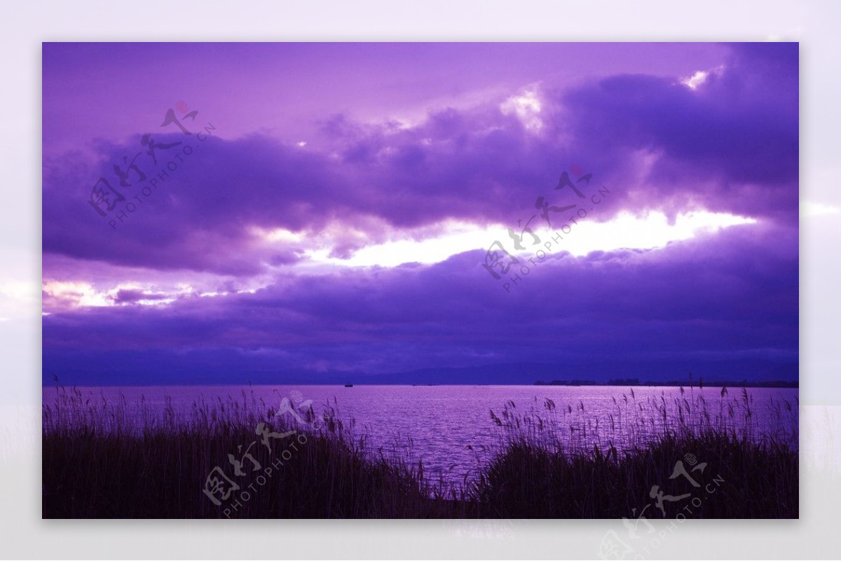 紫色的天空图片