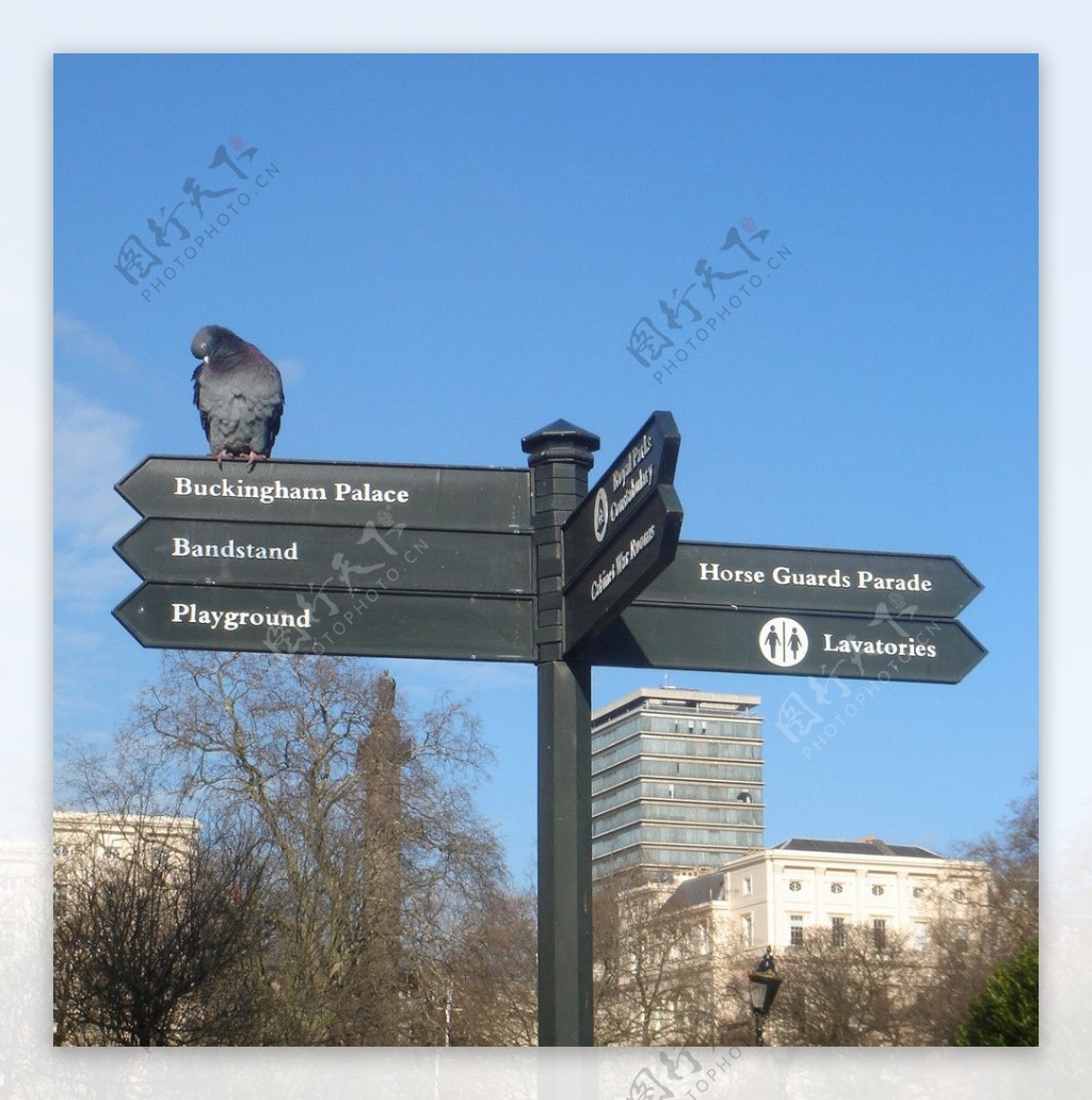 英国街道指示牌图片