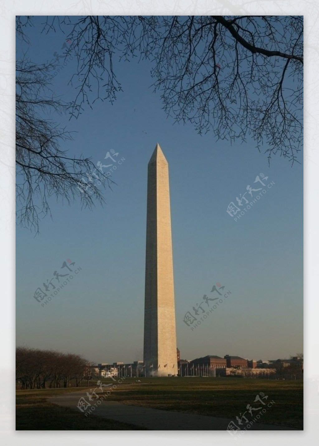 美国华盛顿华盛顿纪念碑图片