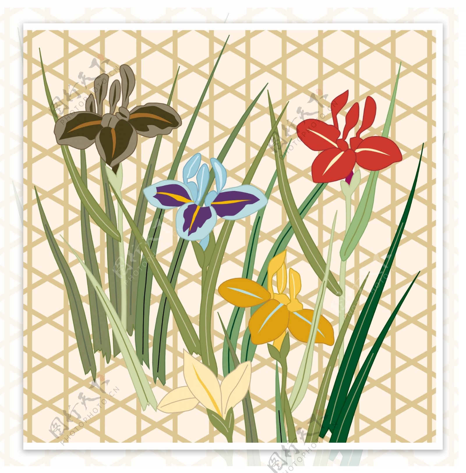 日本传统图案矢量素材28花卉植物图片