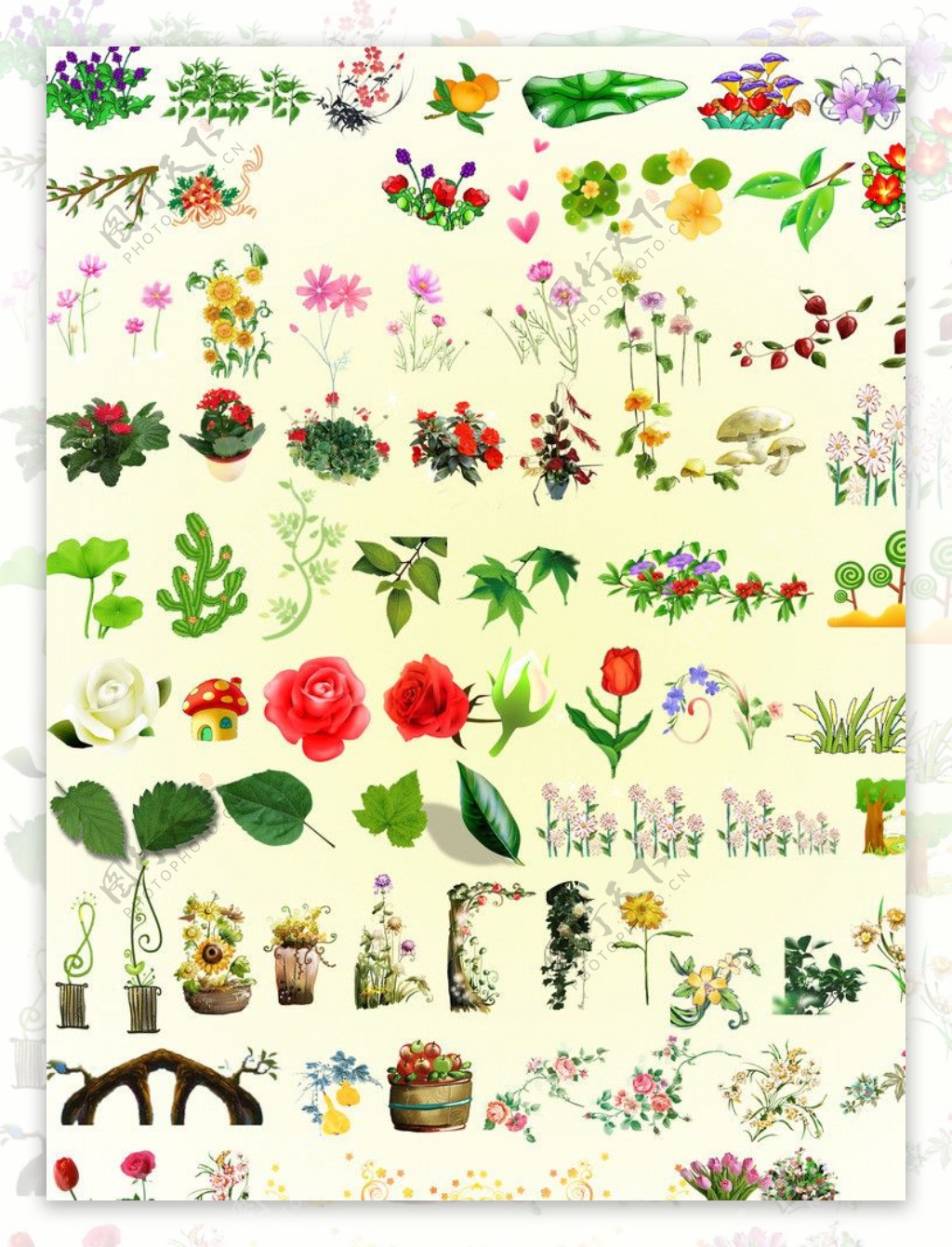 各类花草花卉素材图片