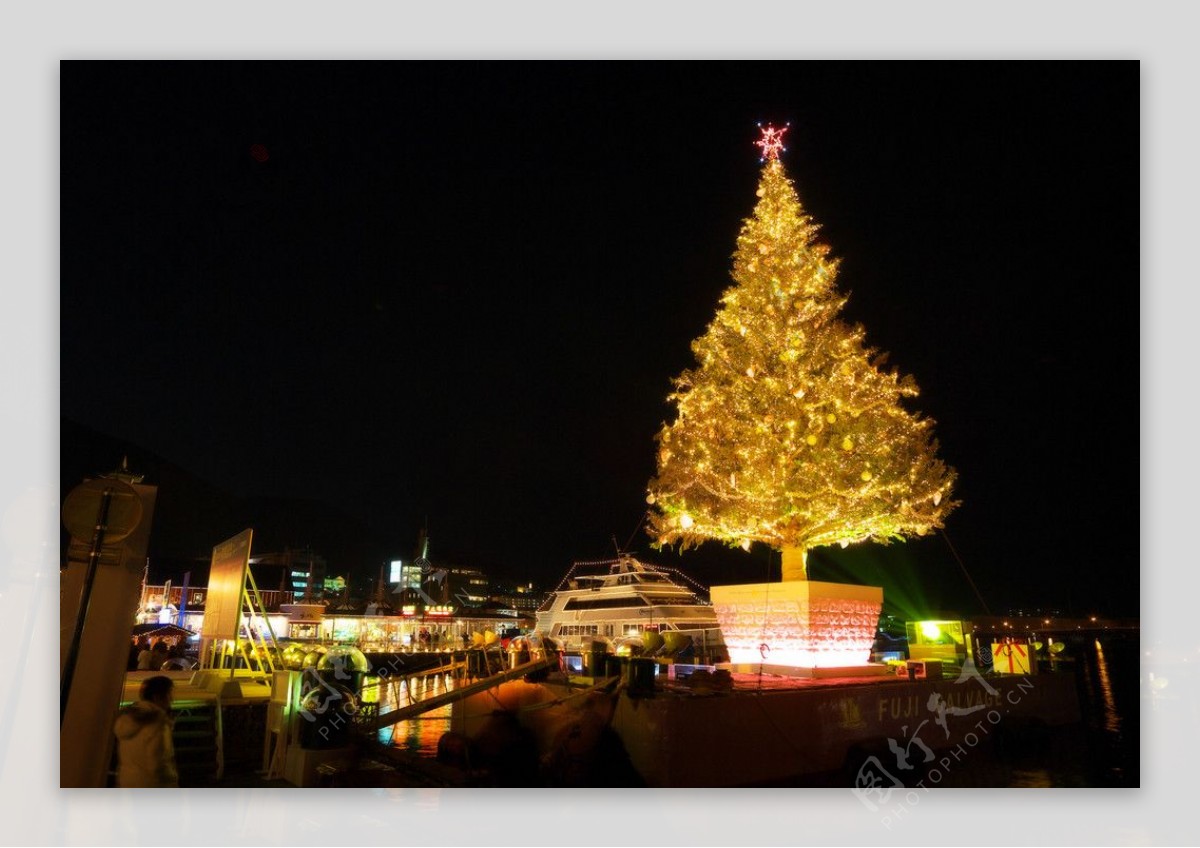 函馆山夜的圣诞树图片