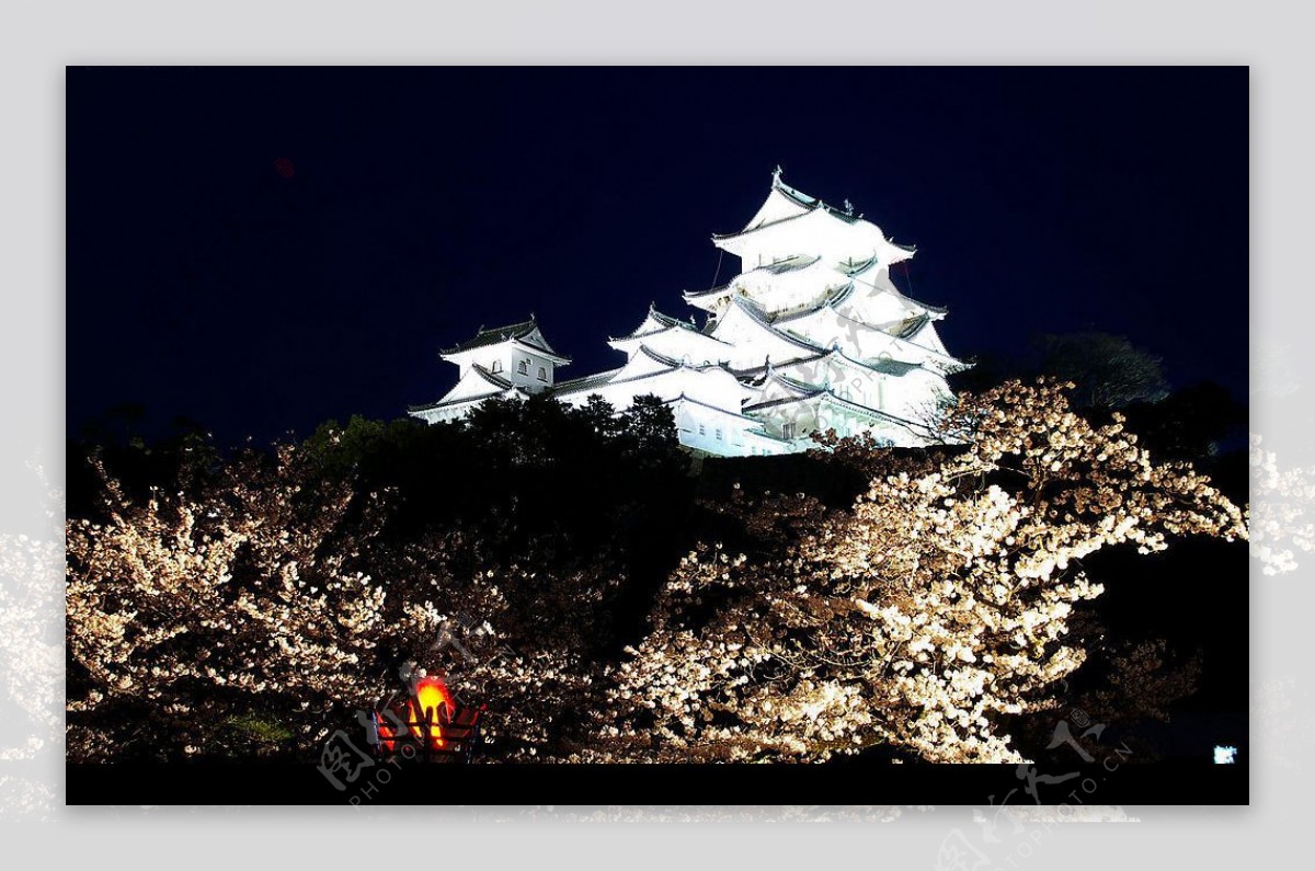 兵庫神戶夜景图片
