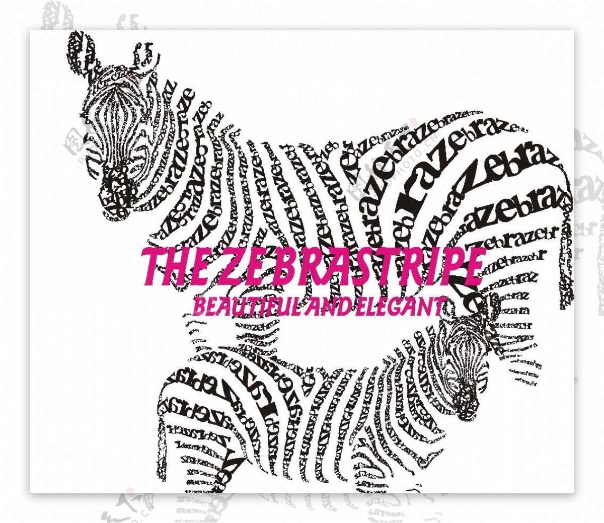 斑马印花字母斑马图片