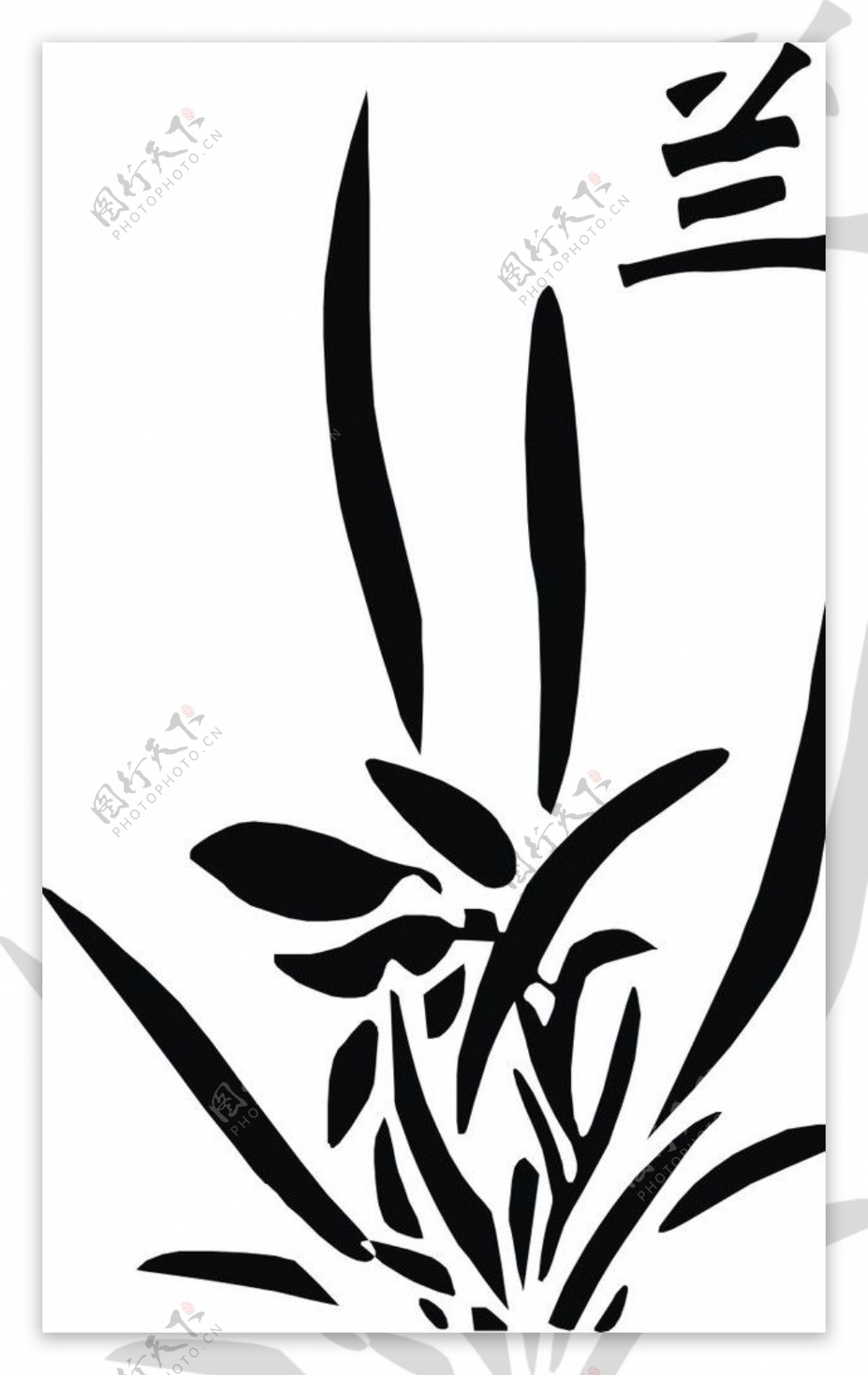 兰花logo图片
