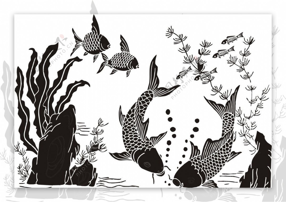 鱼水草雕刻绘图图片