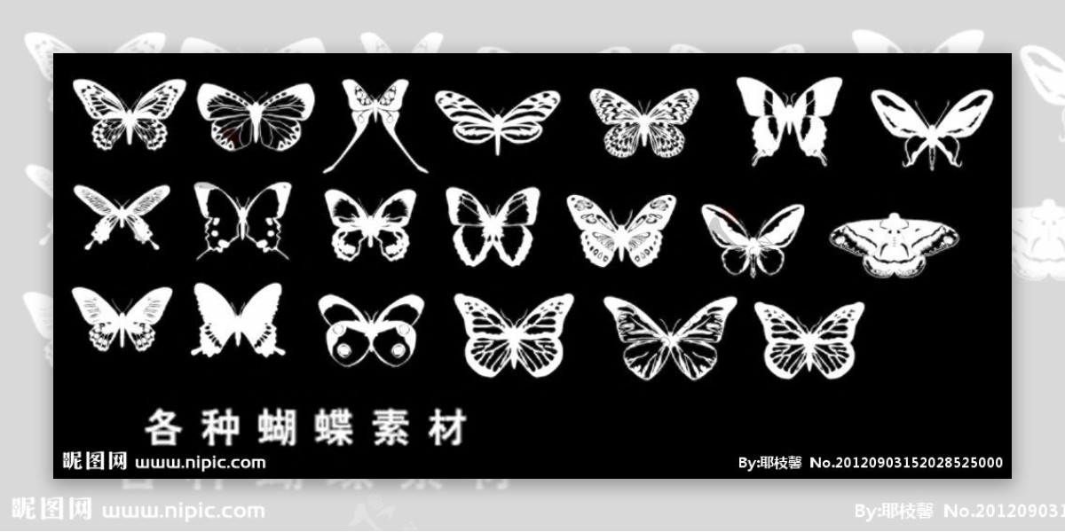 各类蝴蝶素材图片