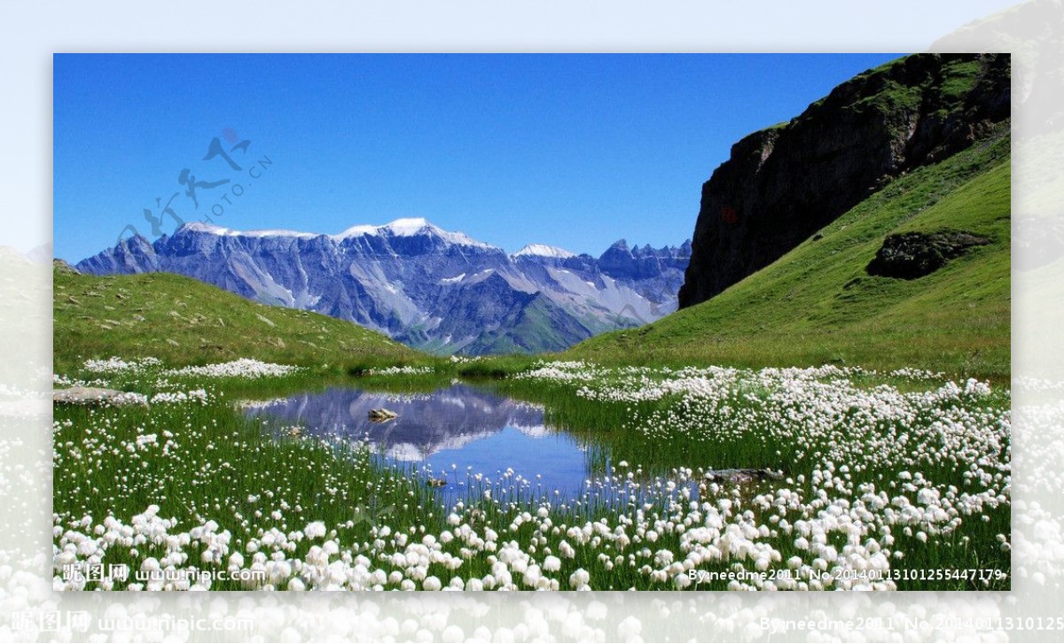 雪山草地图片