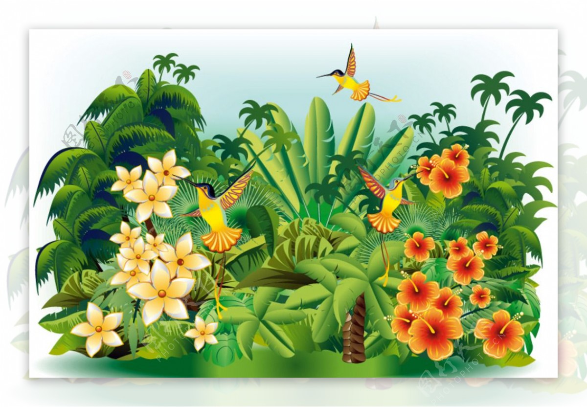 热带花卉图片素材-编号07853645-图行天下