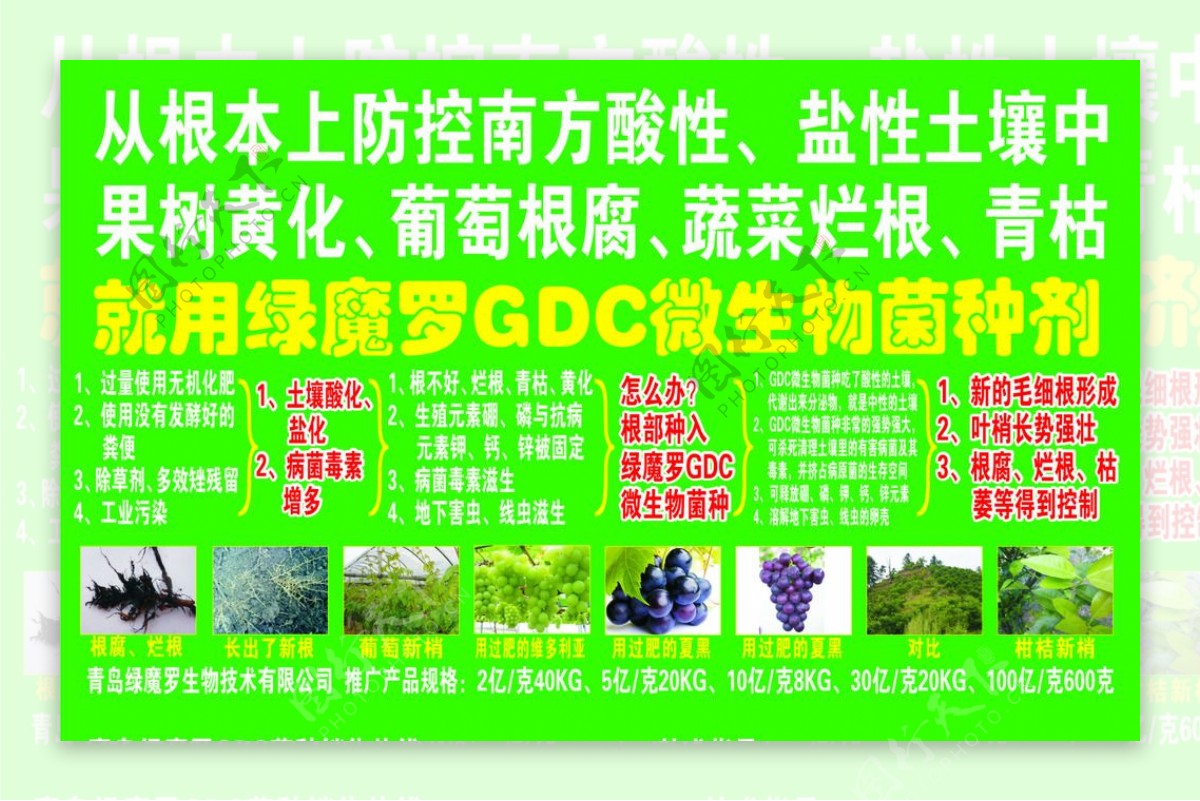 绿魔罗GDC微生物菌种剂图片