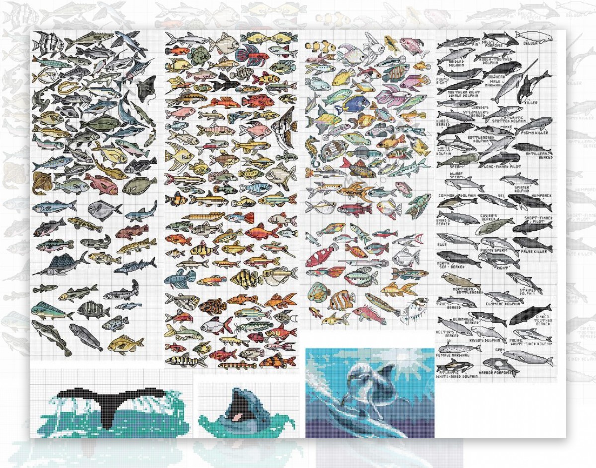 《中国海鱼图谱》中国海洋鱼类甲壳类动物的图谱-鲤画美术馆