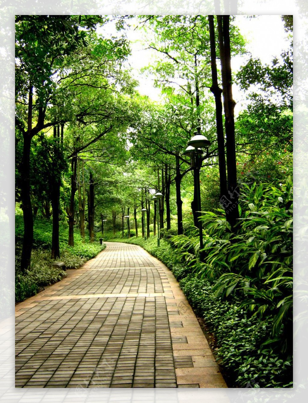 广州珠江公园小路图片