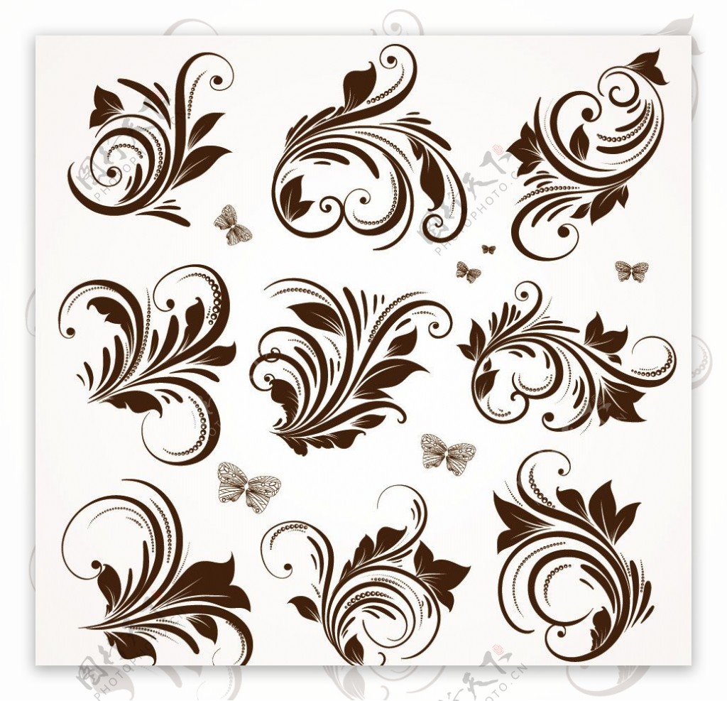 古典花纹花边装饰设计矢量图片