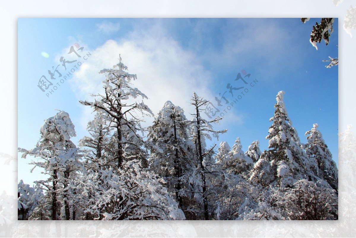 雪景峨眉山图片