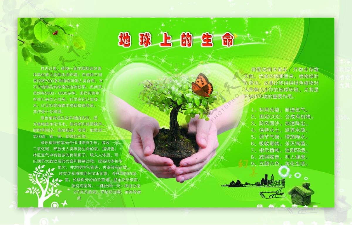 绿色之窗之植树环保图片