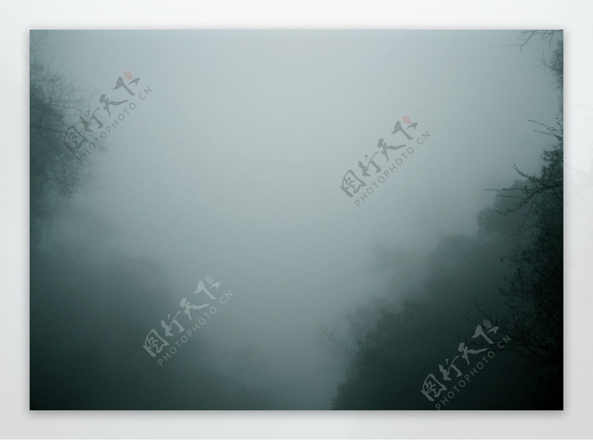 山林大雾图片