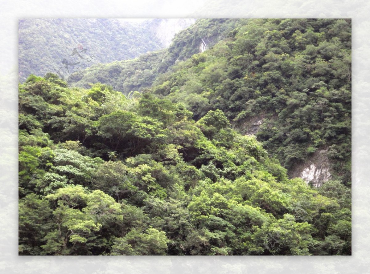 深山古林非高清图片