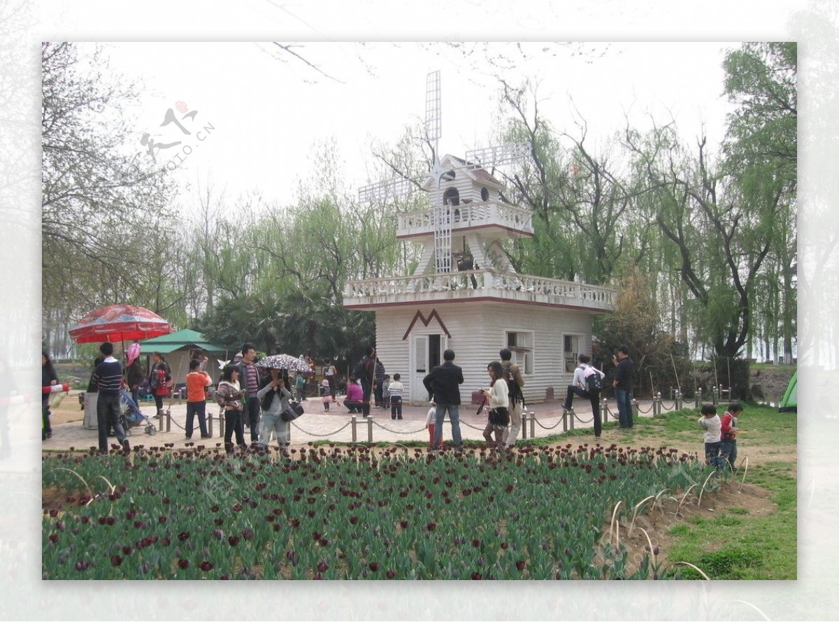2023-05-24南京情侣园春色-中关村在线摄影论坛