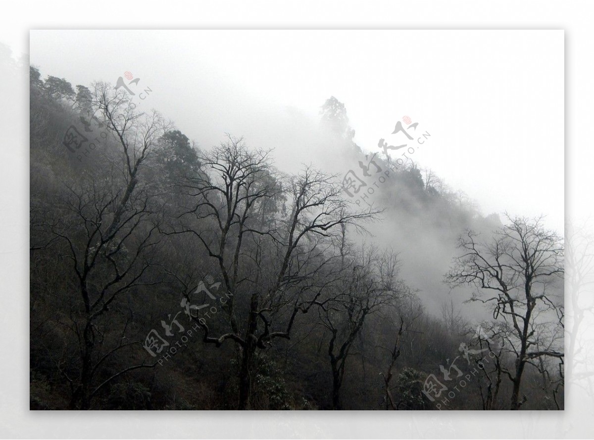 二郎山云雾雪景图片