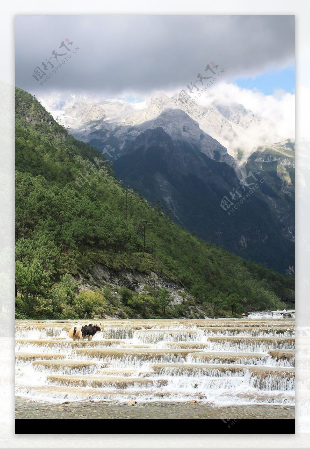 玉龙雪山下图片