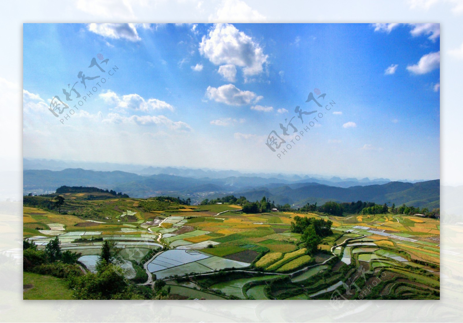 贵州蓝天下连绵的山与不规则的梯田图片