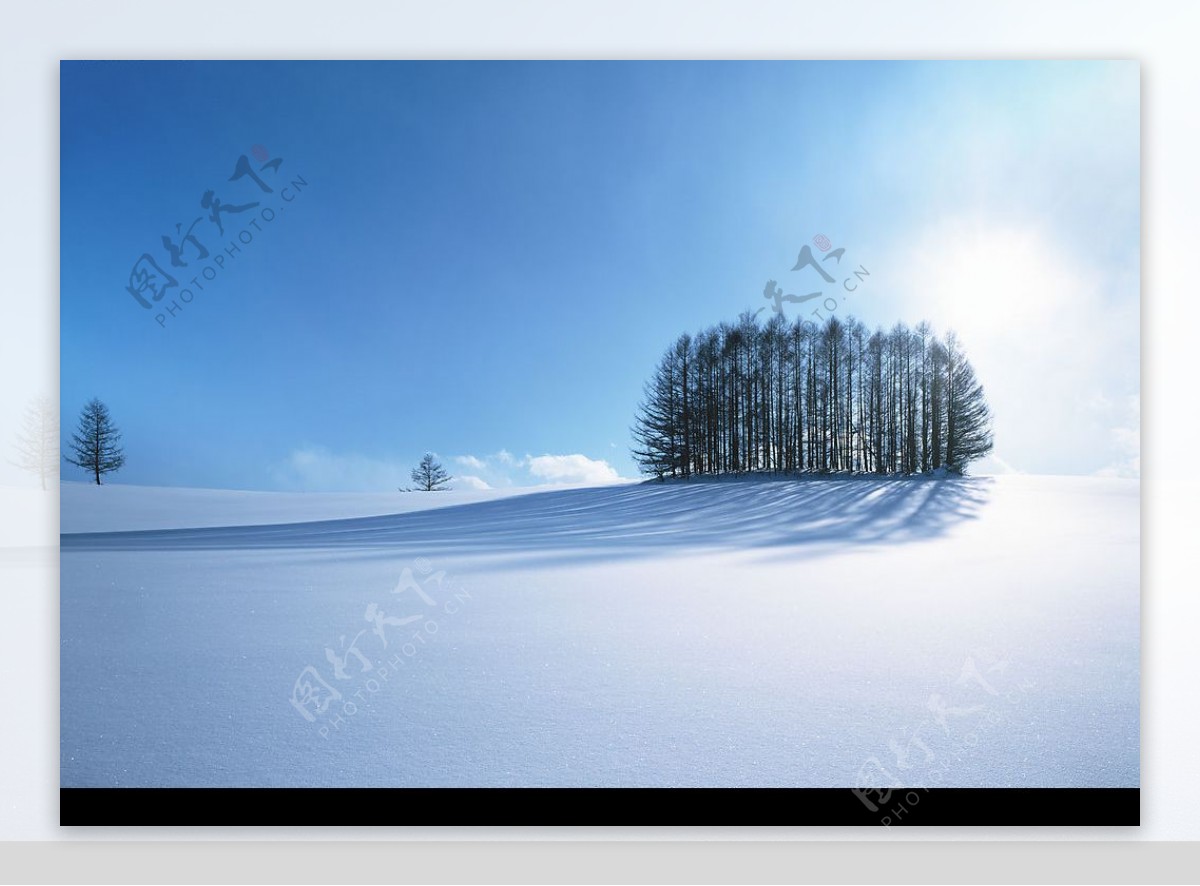 雪景图片