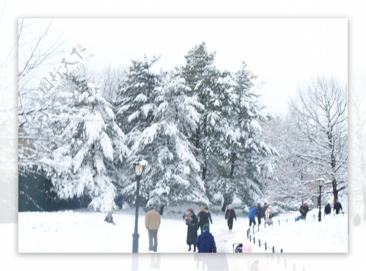 公园雪景图片