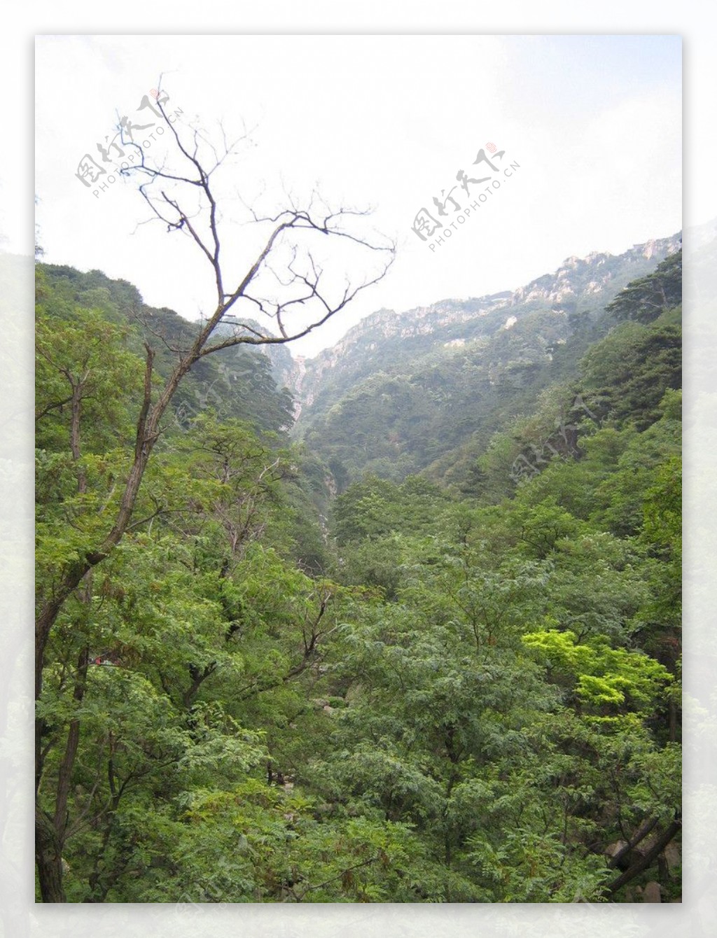 泰山景观图片
