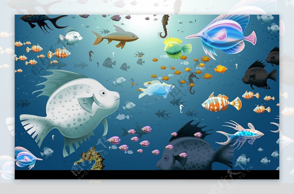 海底生物壁纸图片