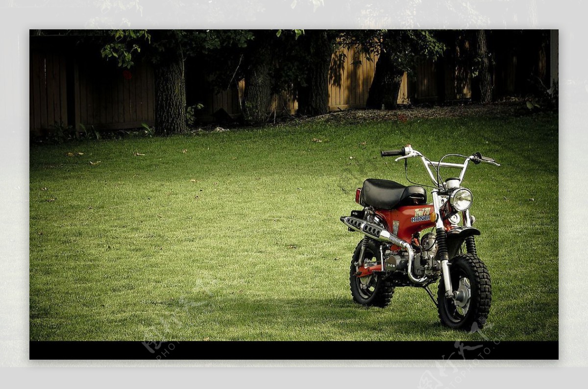 绿林摩托车图片
