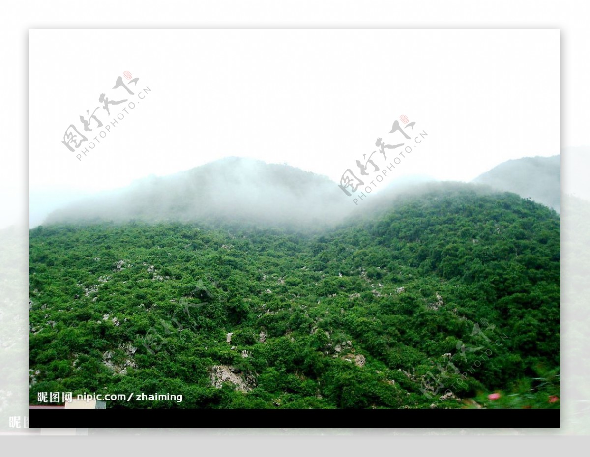 融安山中雾景图片