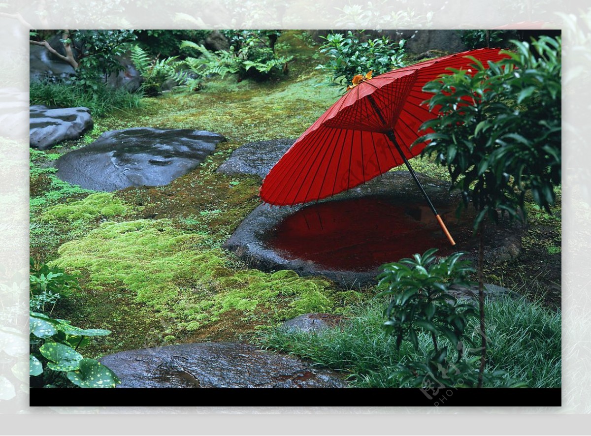 红伞图片