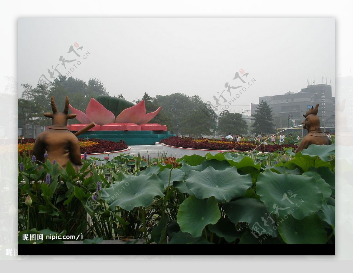 自然风景图片