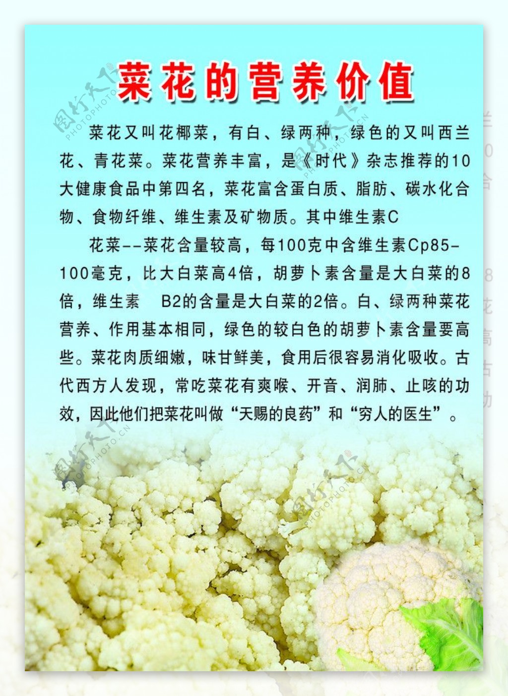 菜花的营养价值图片