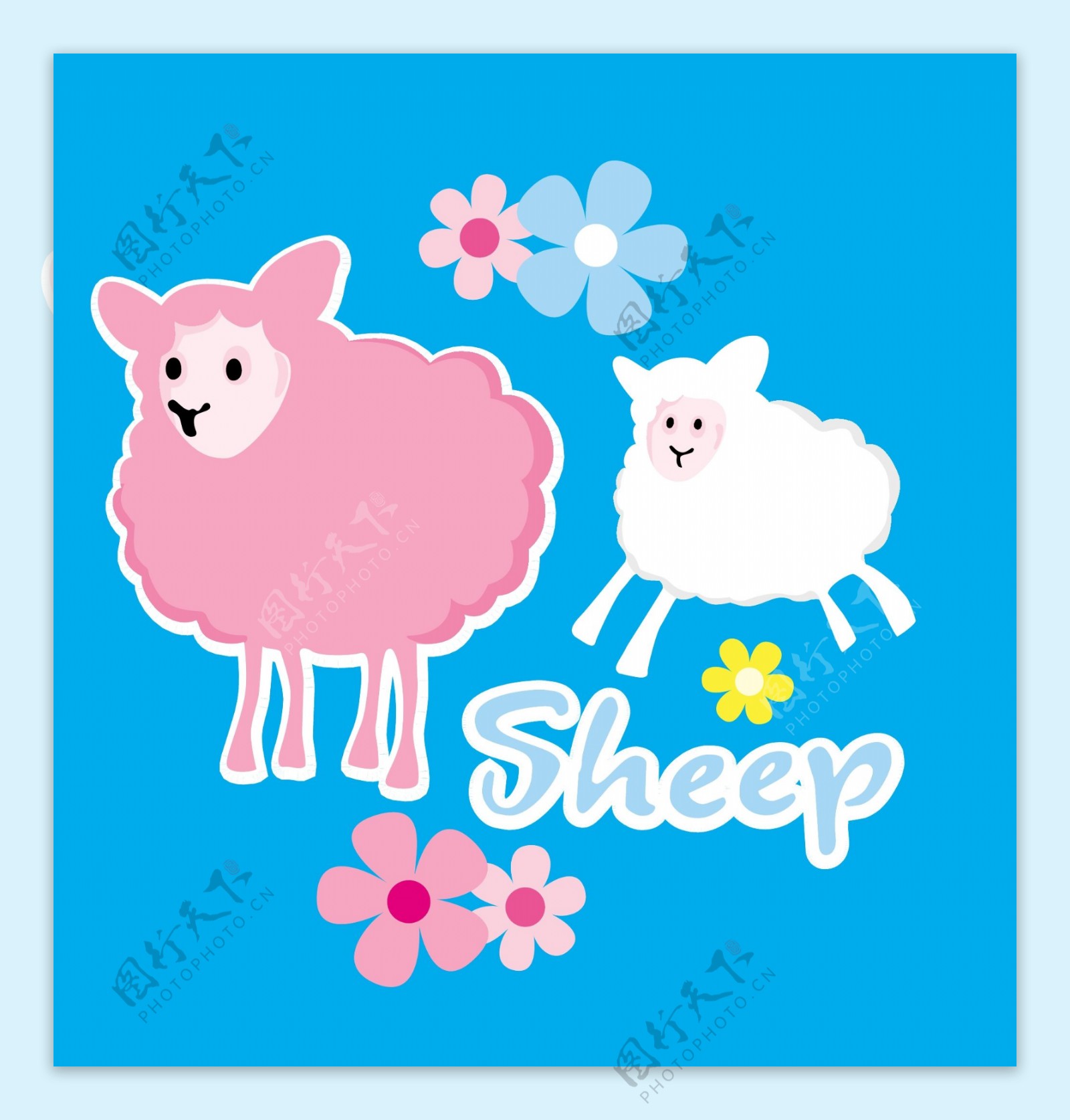 sheep图片