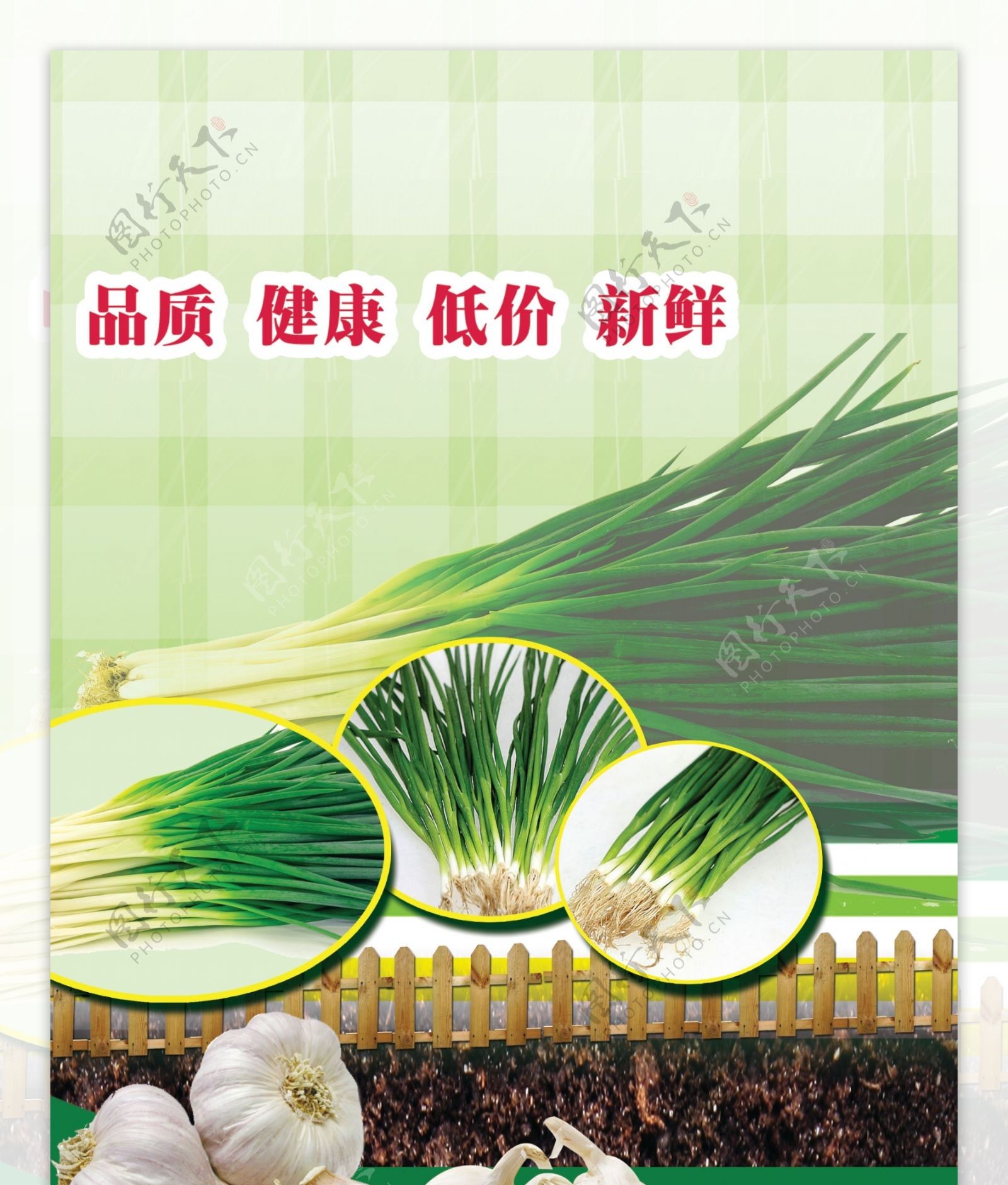 葱蒜类蔬菜展板图片
