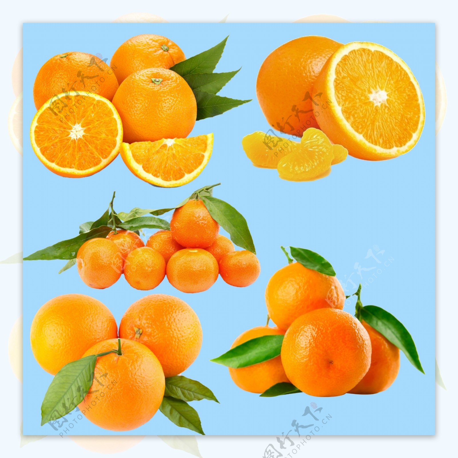 橙子分层素材图片